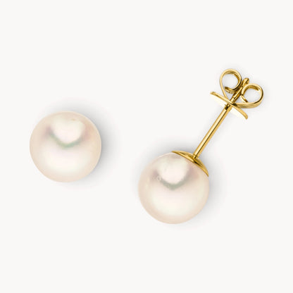 Ohrstecker in 585er Gelbgold mit Akoya-Zuchtperle