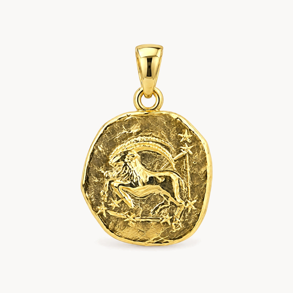 Sternzeichenanhänger in 925er Silber &amp; 333er Gelbgold – 333 Gelbgold, Sternzeichen Steinbock