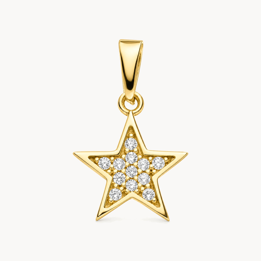 Glücksanhänger in 333er Gelbgold mit Zirkonia